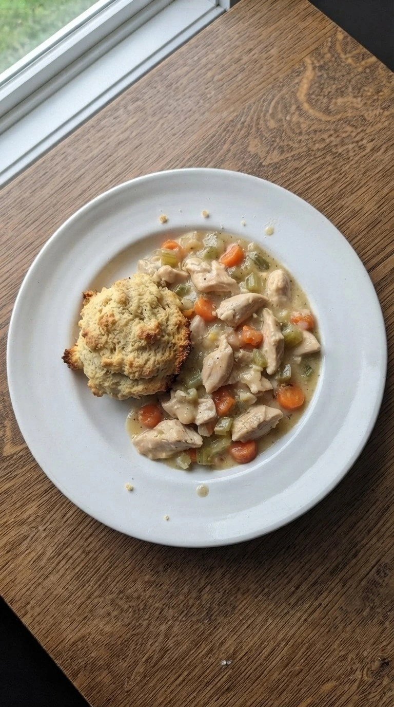 Chicken and Dumplings with Biscuits single serving with biscuit and creamy filling Recipe focus: easy chicken and dumplings.